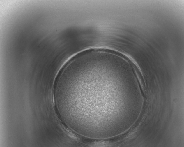 X0000064740887200602131313