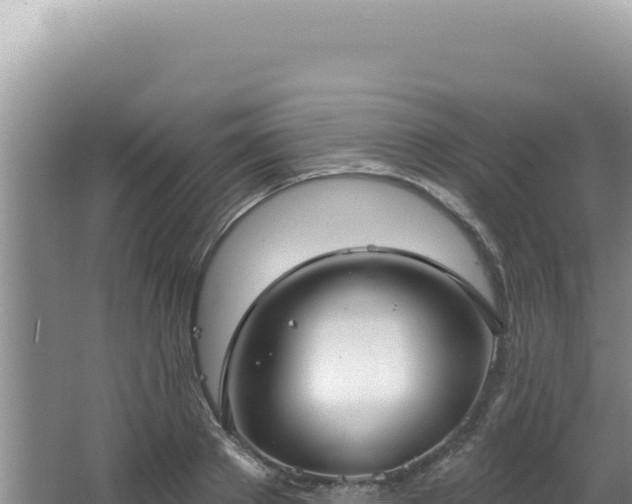 X0000064740889200602131313