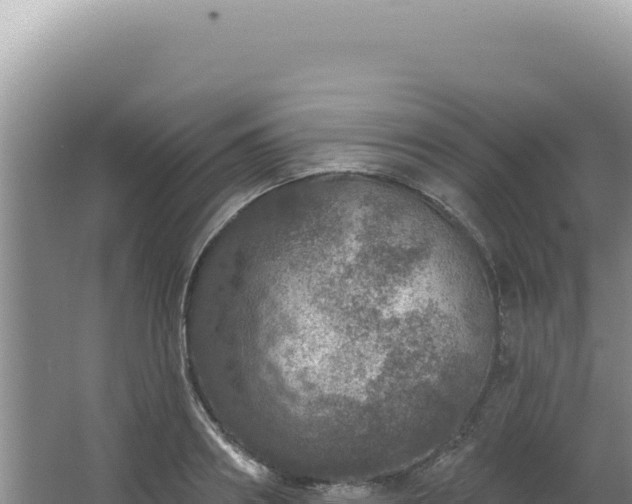 X0000064740890200602131313