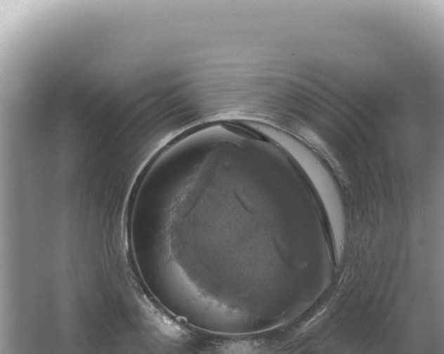 X0000064740892200602131313