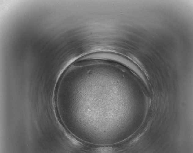 X0000064740893200602131313