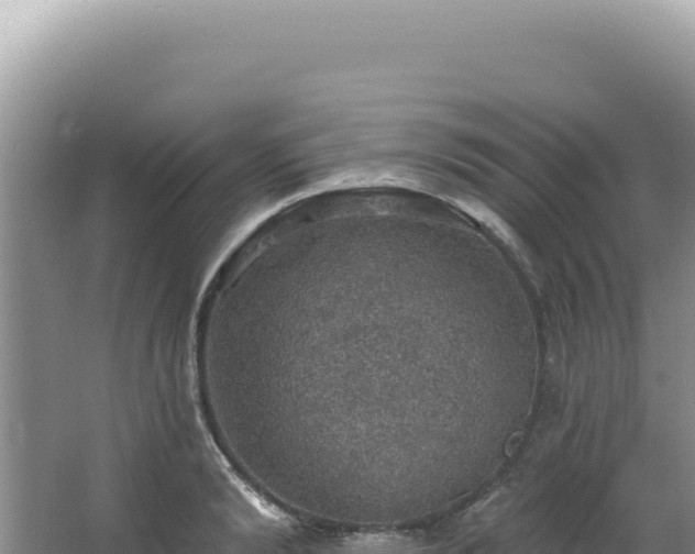 X0000064740894200602131313