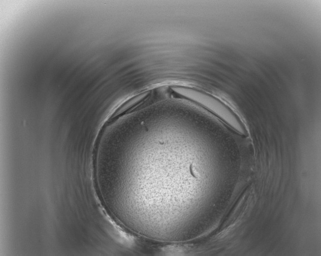 X0000064740898200602131313