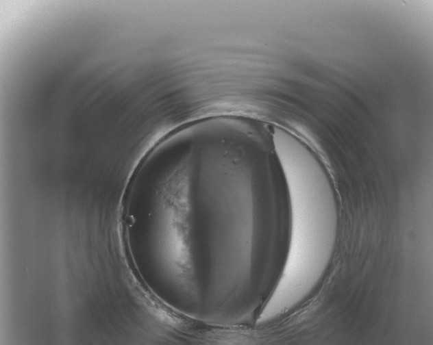 X0000064740899200602131313