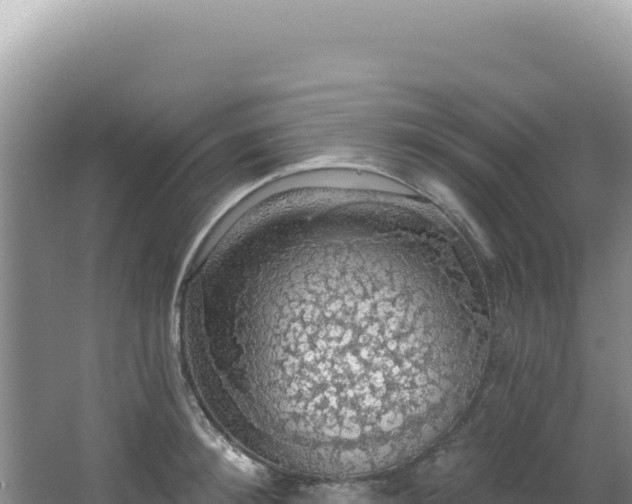 X0000064740900200602131313