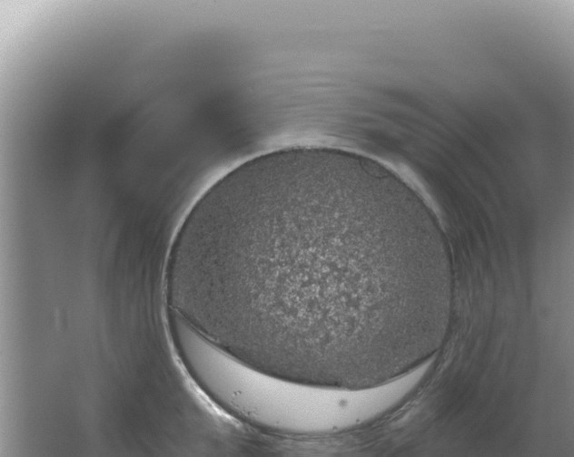 X0000064740903200602131313