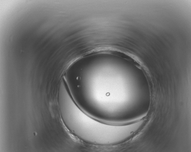 X0000064740905200602131313