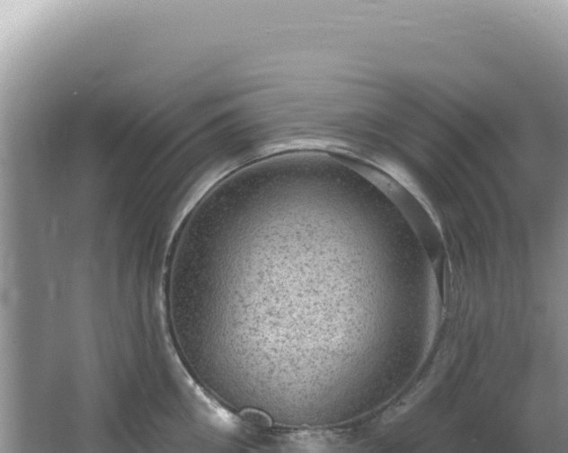 X0000064740906200602131313