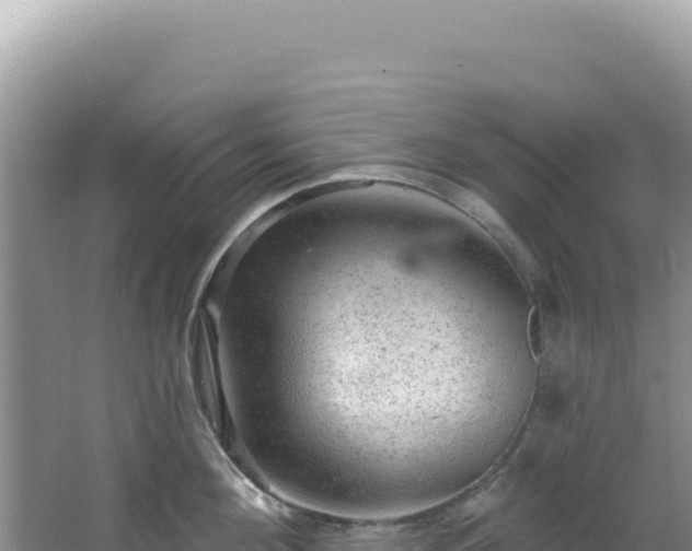 X0000064740908200602131313