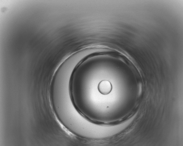 X0000064740909200602131313