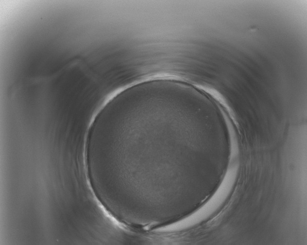 X0000064740910200602131313