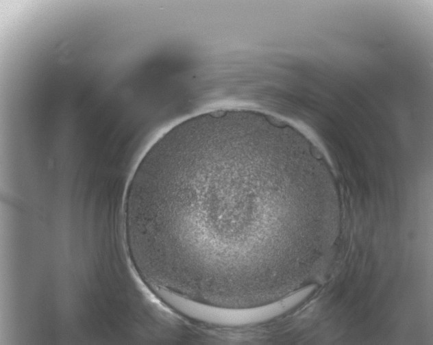 X0000064740911200602131313