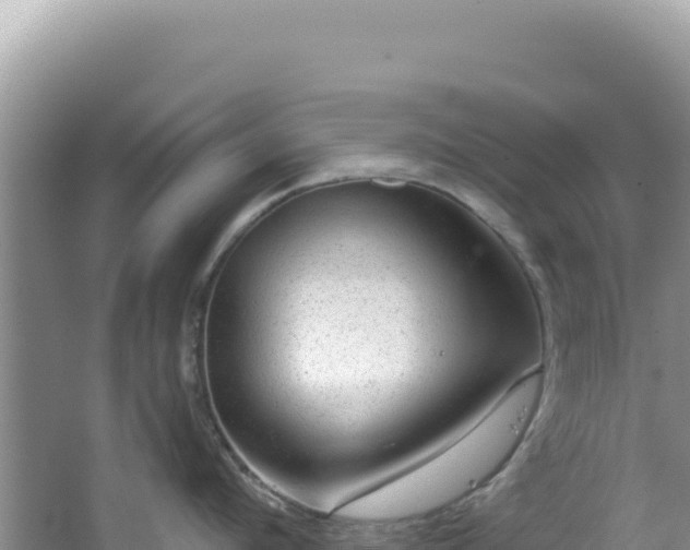 X0000064740912200602131313