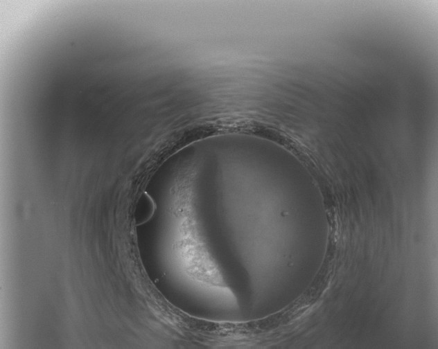 X0000064740913200602131312