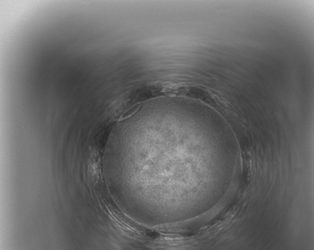 X0000064740914200602131312