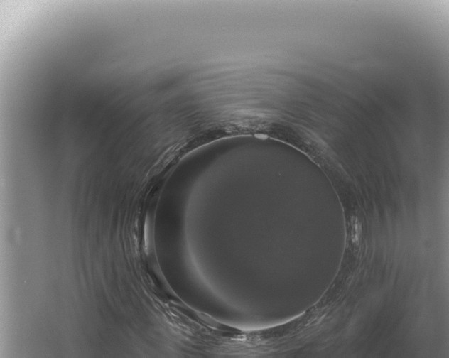 X0000064740915200602131312