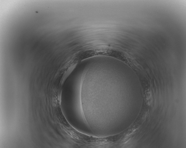 X0000064740916200602131312