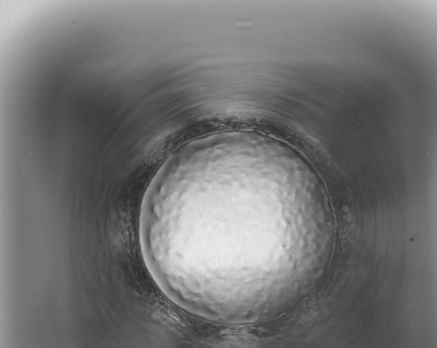 X0000064740918200602131312