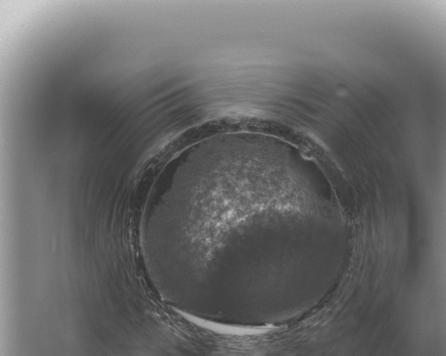 X0000064740919200602131312