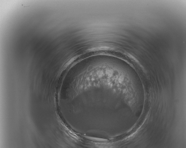 X0000064740921200602131312