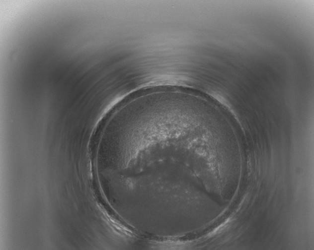 X0000064740925200602131312