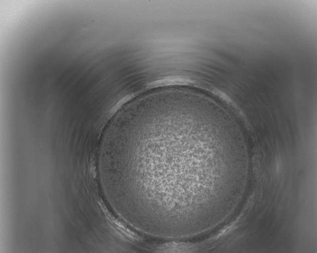 X0000064740929200602131312