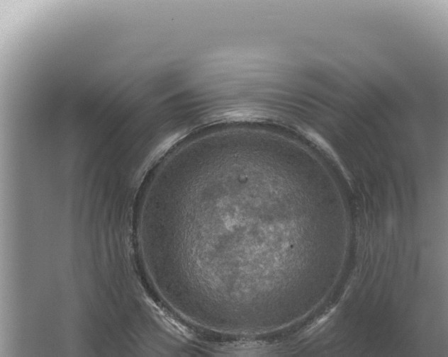 X0000064740930200602131312