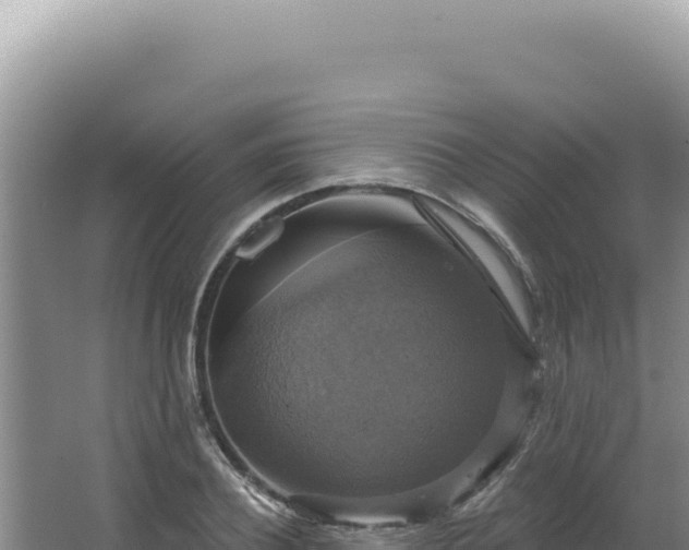 X0000064740932200602131312