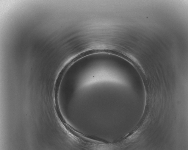 X0000064740935200602131312