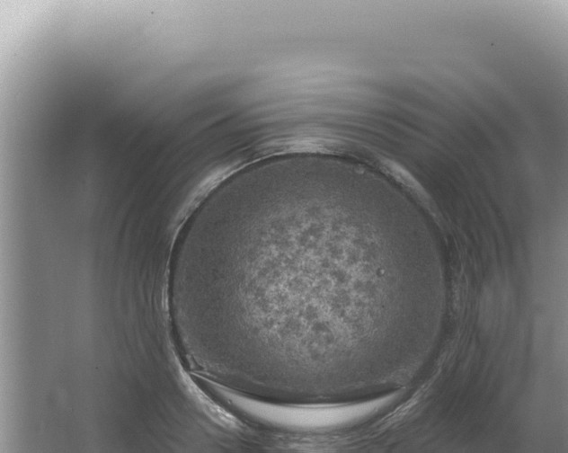 X0000064740938200602131312