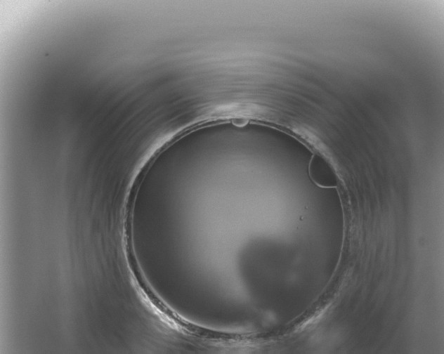 X0000064740941200602131312