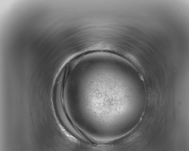 X0000064740942200602131312