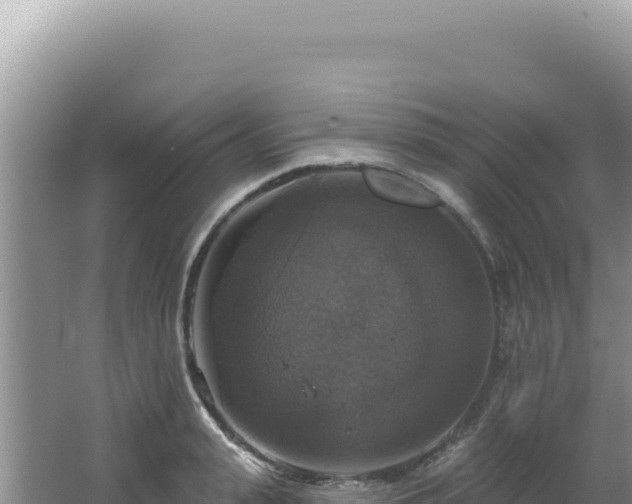 X0000064740943200602131312