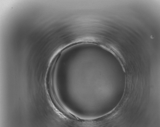 X0000064740944200602131312