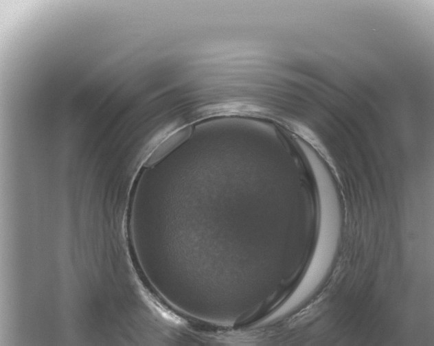 X0000064740946200602131312