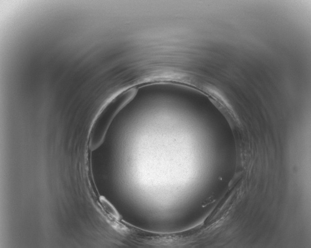 X0000064740948200602131312