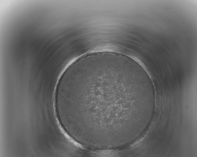 X0000064740949200602131312