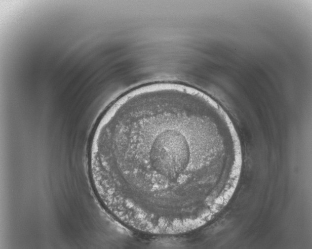 X0000064740950200602131312