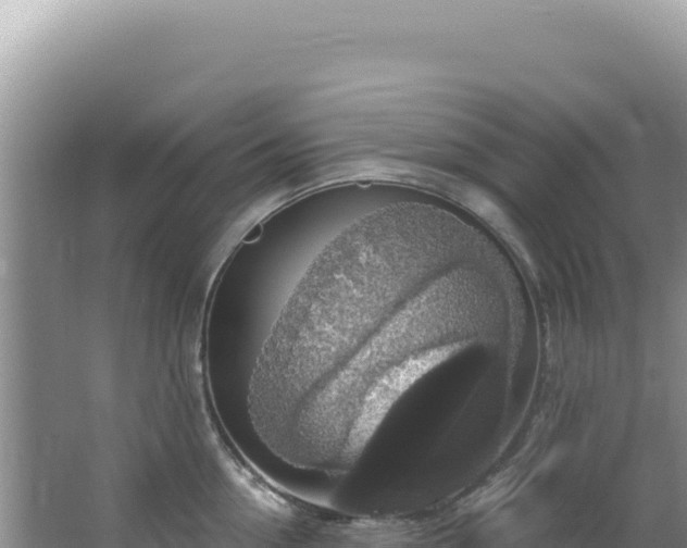 X0000064740954200602131313