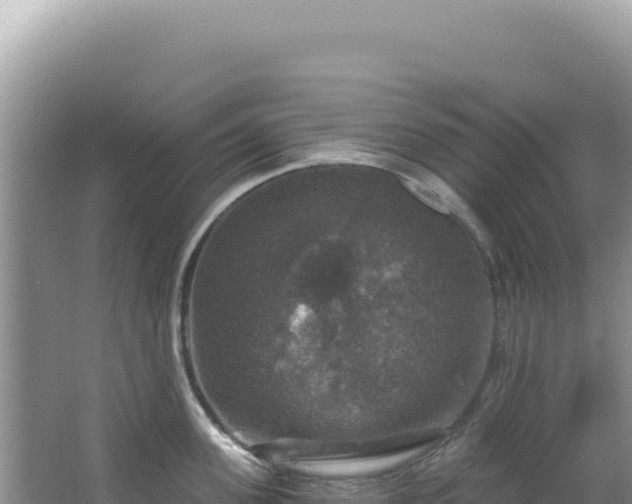 X0000064740955200602131313