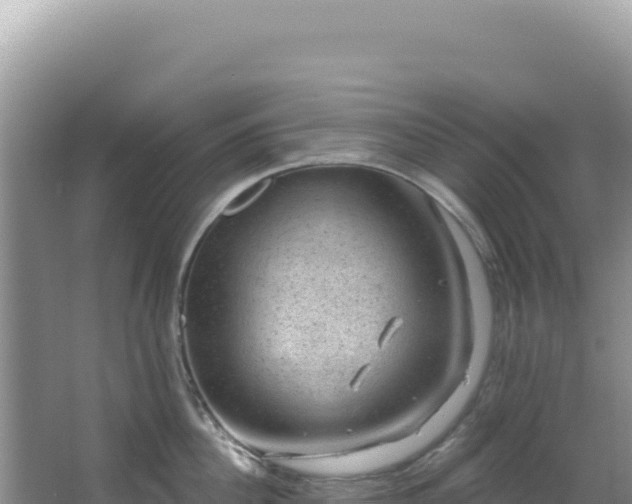 X0000064740956200602131313