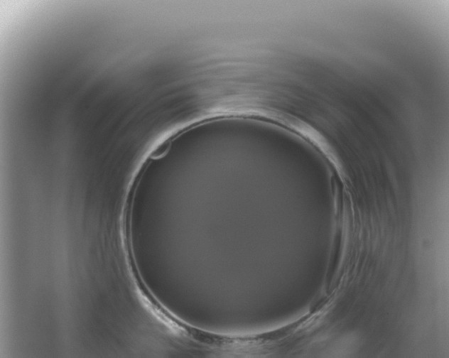 X0000064740958200602131313