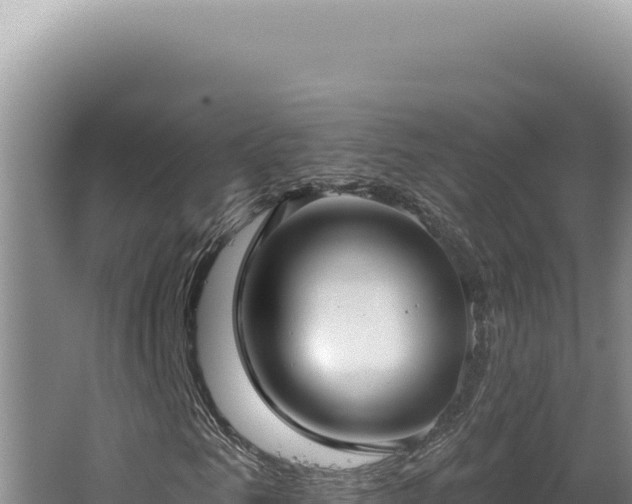 X0000064740961200602131312