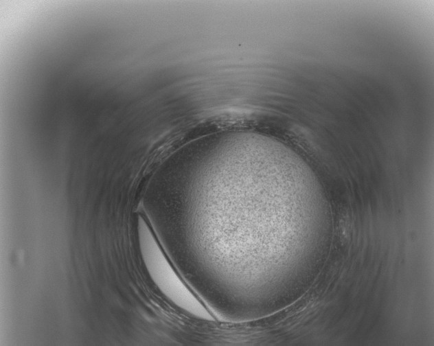 X0000064740964200602131312