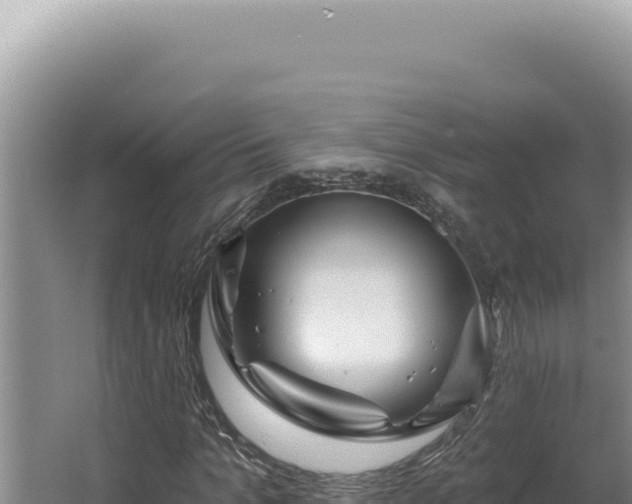 X0000064740965200602131312