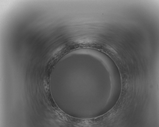 X0000064740966200602131312