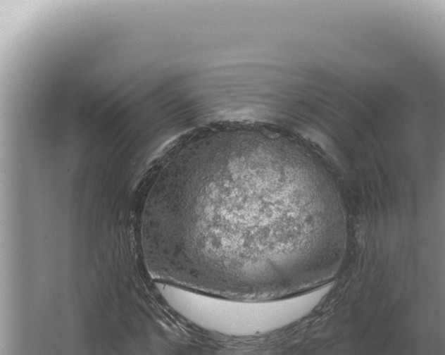 X0000064740968200602131312