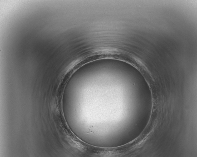 X0000064740970200602131312