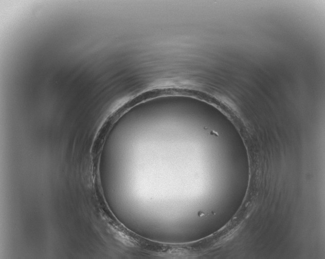 X0000064740974200602131312