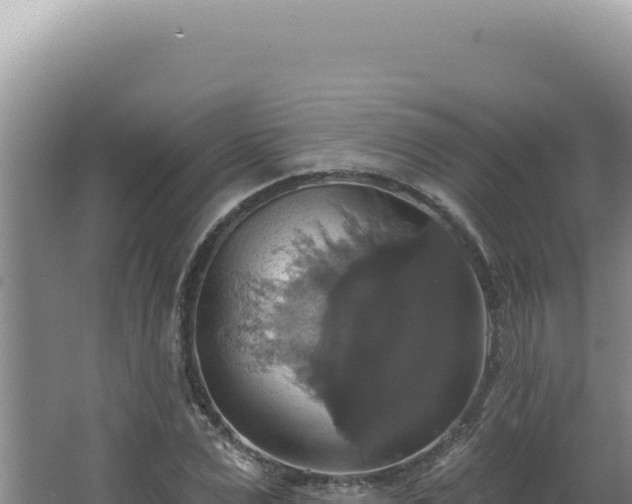 X0000064740975200602131312